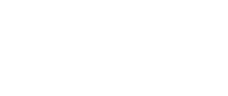 The Efficiency Project